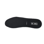 Dior B30 Round Head Logo Sneakers Patent Leather Gray