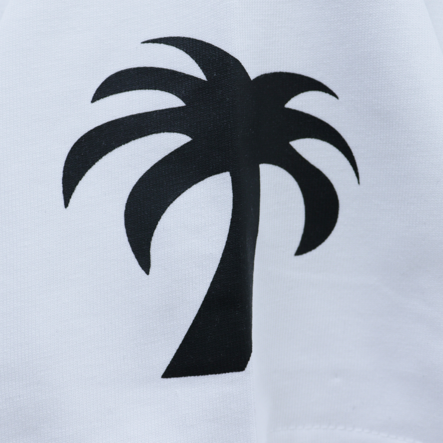 Palm Angels Gothic Logo Over T-Shirt #2072 White/Black