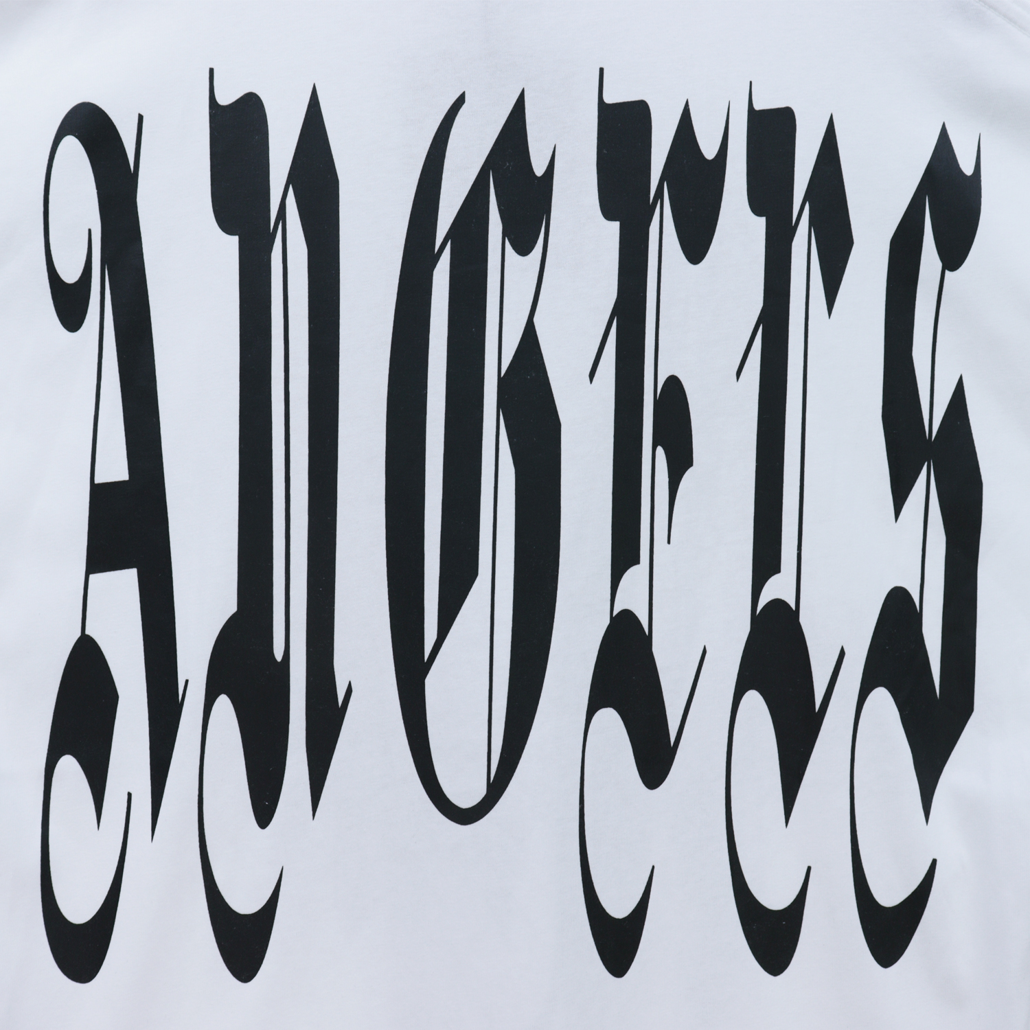 Palm Angels Gothic Logo Over T-Shirt #2072 White/Black