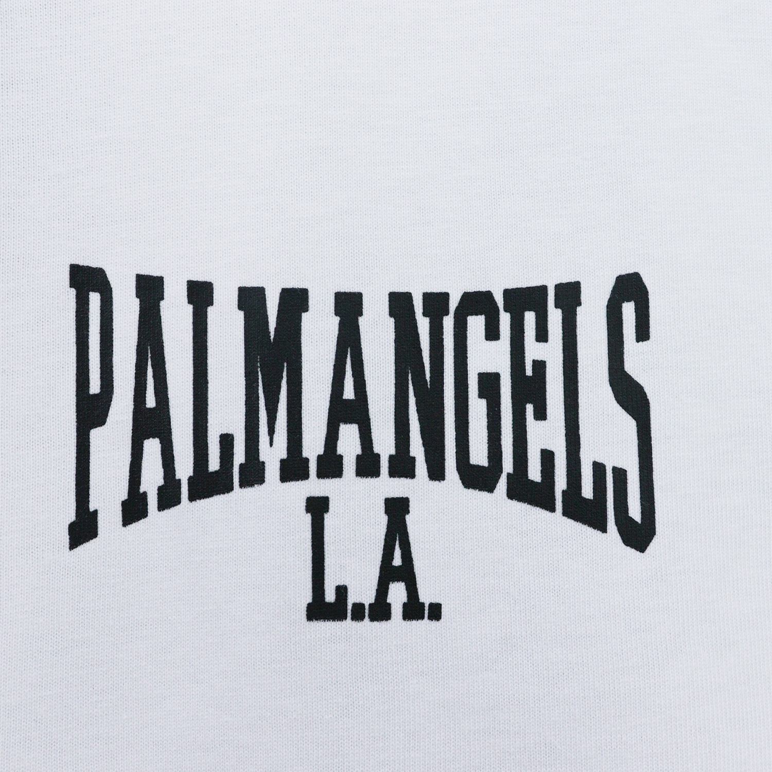 Palm Angels Logo-print Cotton T-Shirt #2085 White/Black
