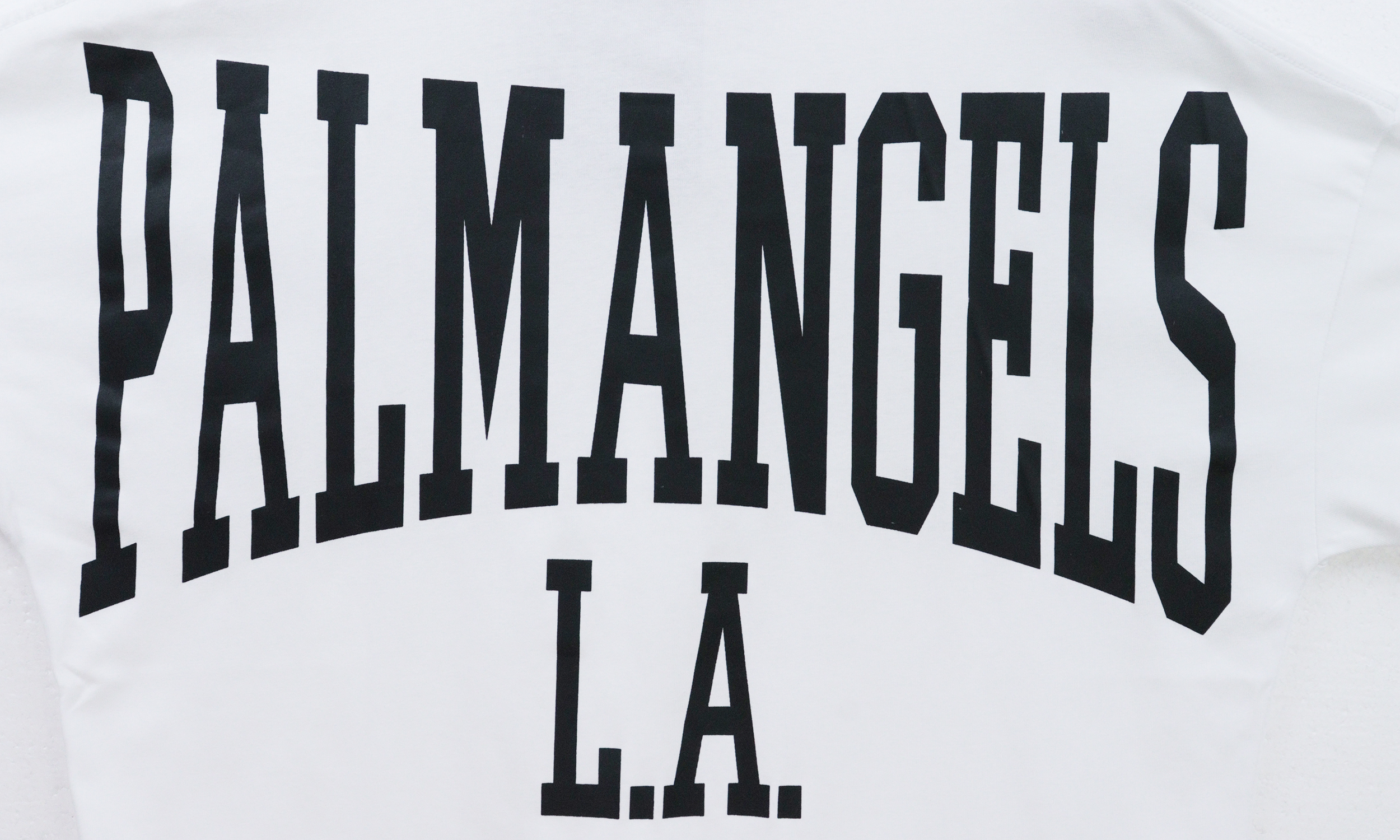 Palm Angels Logo-print Cotton T-Shirt #2085 White/Black