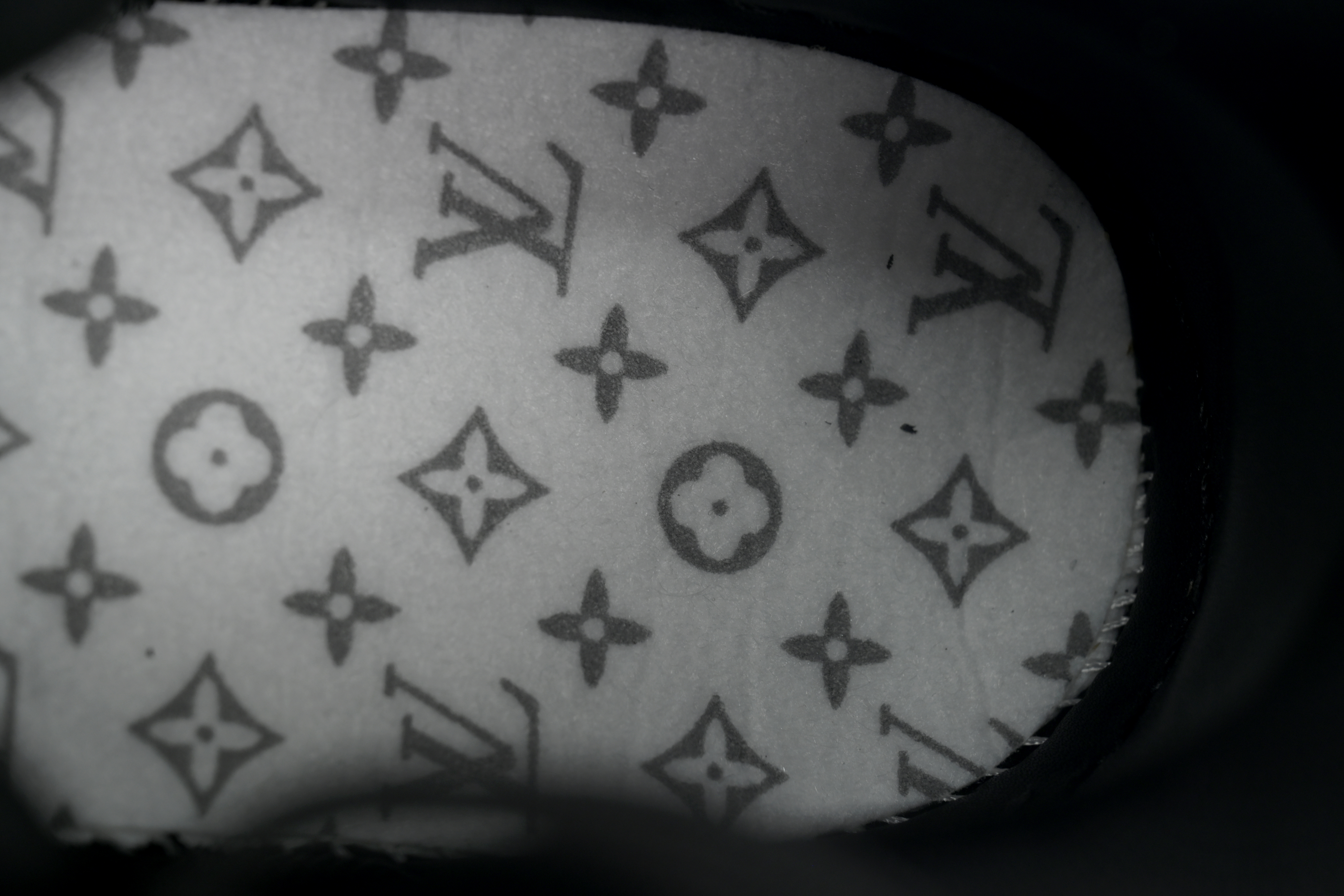 Louis Vuitton Trainer Black Lychee Patent Leather