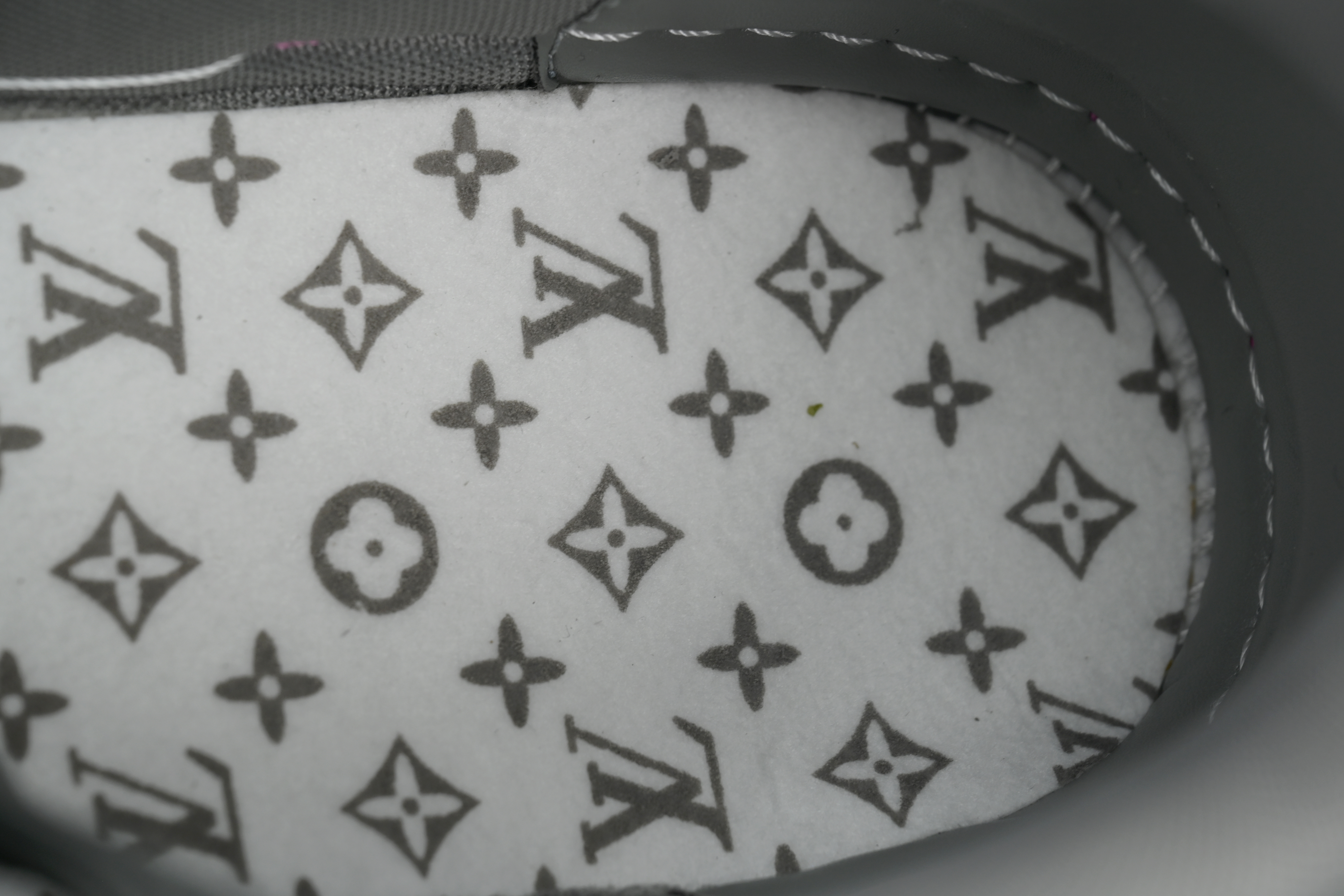 Louis Vuitton Trainer Dark Gray Color Printing