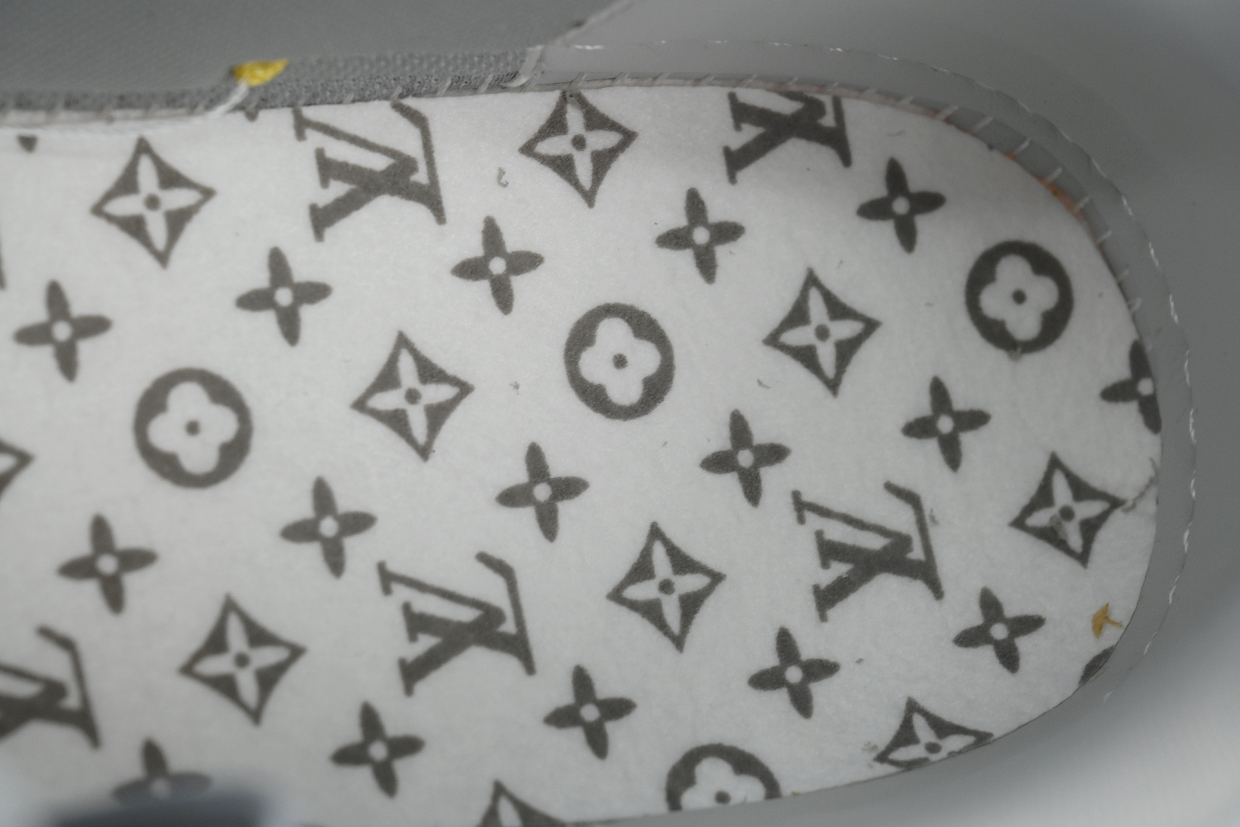 Louis Vuitton Trainer Grey Color Printing