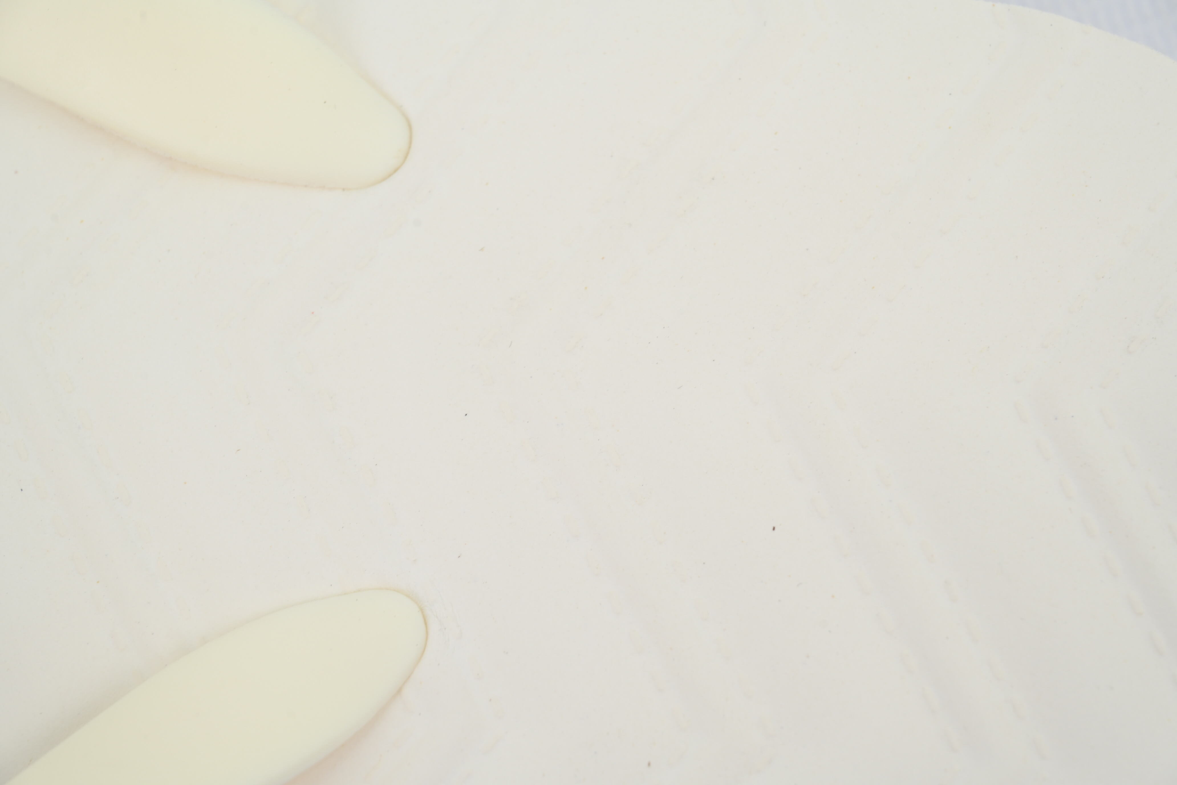 Gucci Flip Flops All White