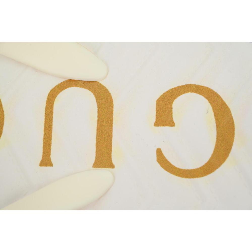 Gucci Flip Flops Logo Bottom Beige