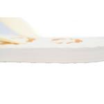 Gucci Flip Flops Logo Bottom Beige