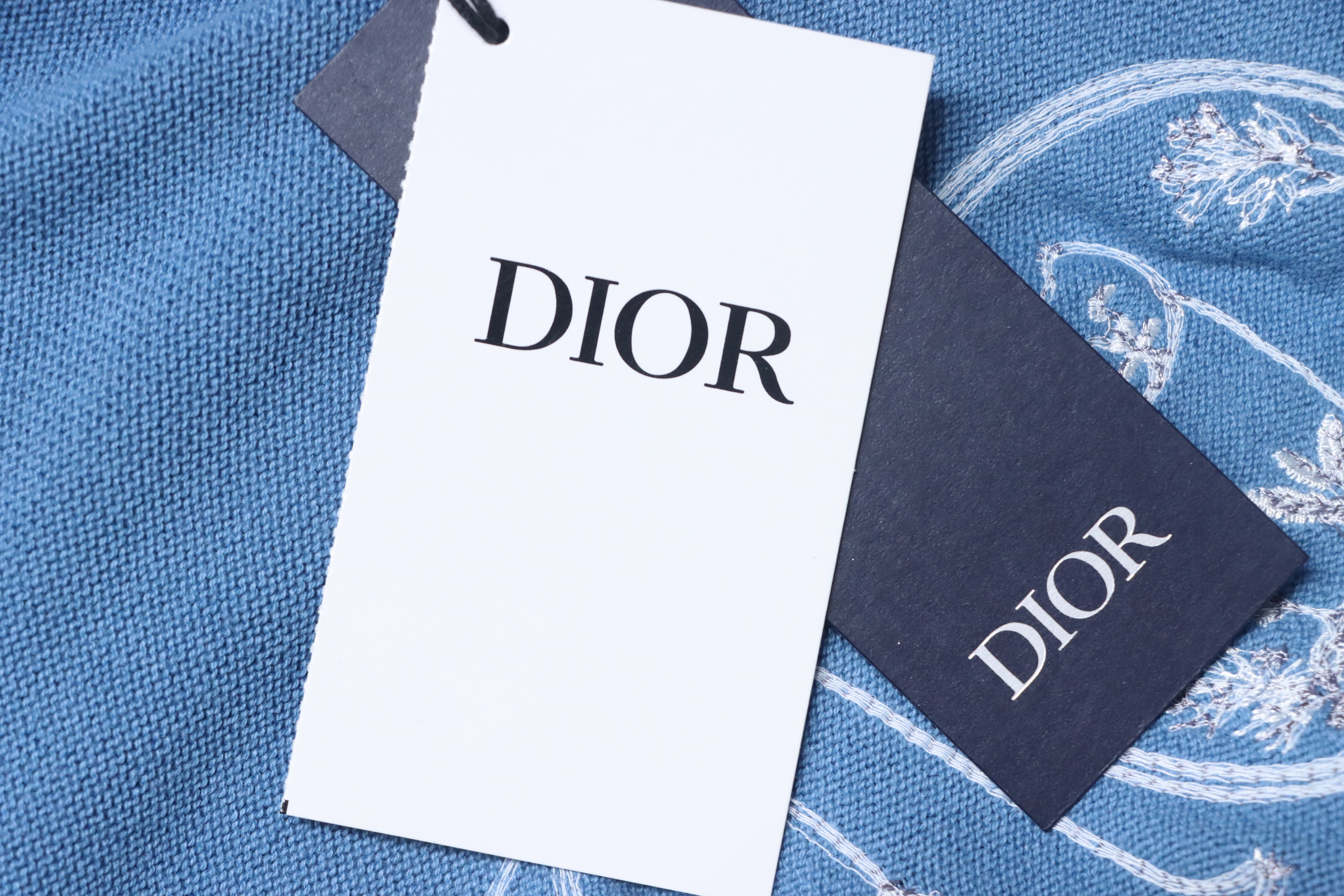 Dior Cat Embroidered Knitted T-shirt Blue