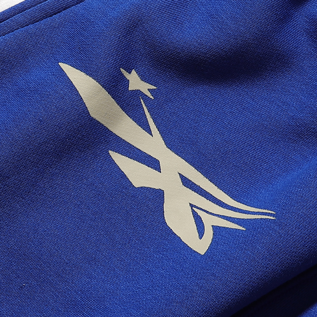 Hellstar No Guts No Glory Hoodie & Sweatpants Set #2223-2323 Blue