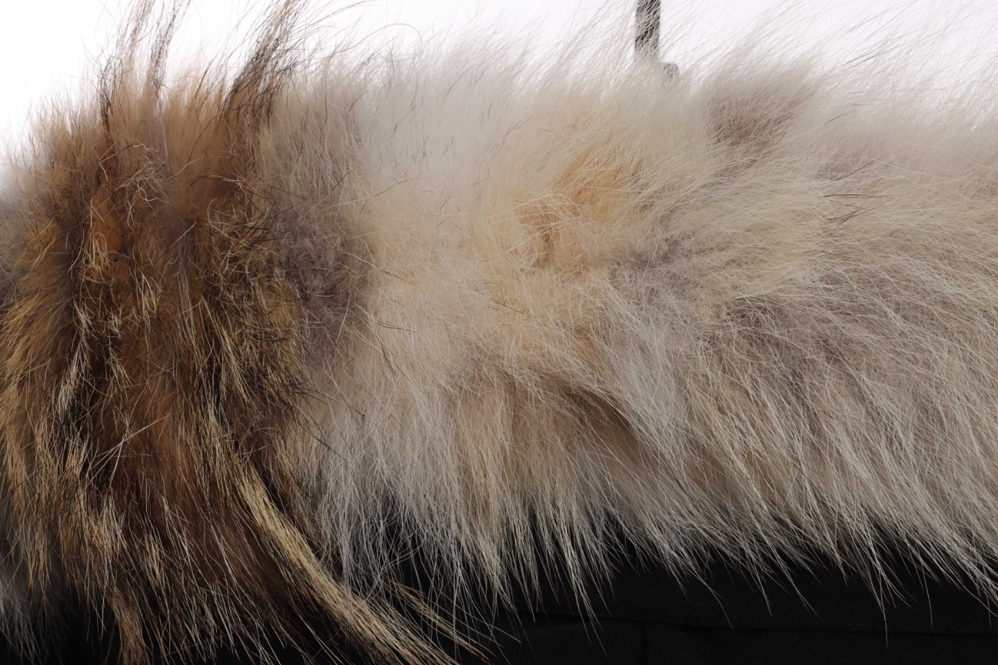 Canada Goose Expedition Down Parka Black