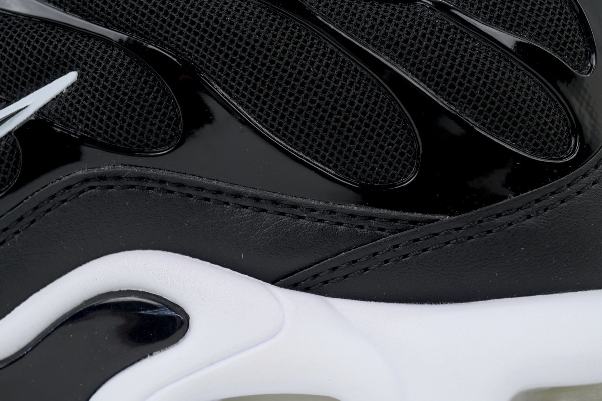 Nike Air Max Plus 'Black White' DM2362-001