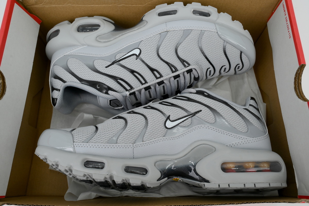 Nike Air Max Plus 'Wolf Grey' 852630-021