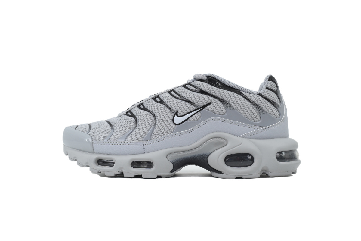 Nike Air Max Plus 'Wolf Grey' 852630-021