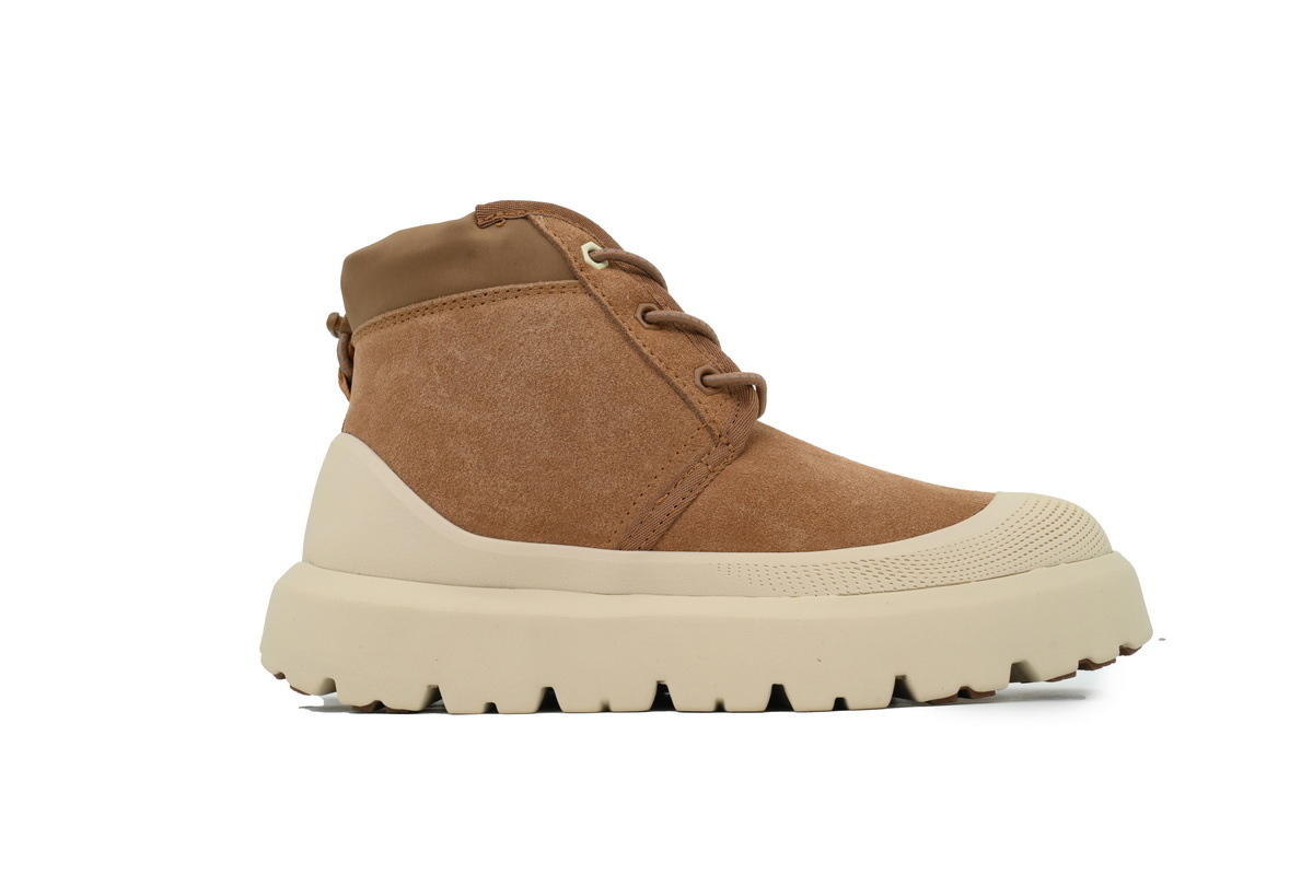 UGG Neumel Weather Hybrid Boot Chestnut Whitecap (Men's) 1143991