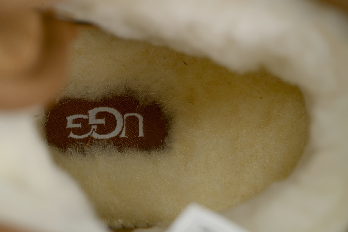 UGG Neumel Weather Hybrid Boot Chestnut Whitecap (Men's) 1143991