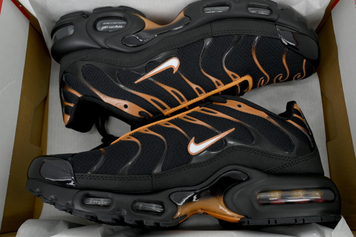 Nike Air Max Plus 'Dark Obsidian Monarch' FN6949-400