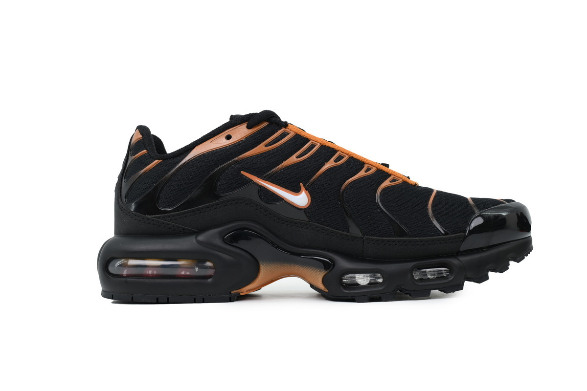 Nike Air Max Plus 'Dark Obsidian Monarch' FN6949-400