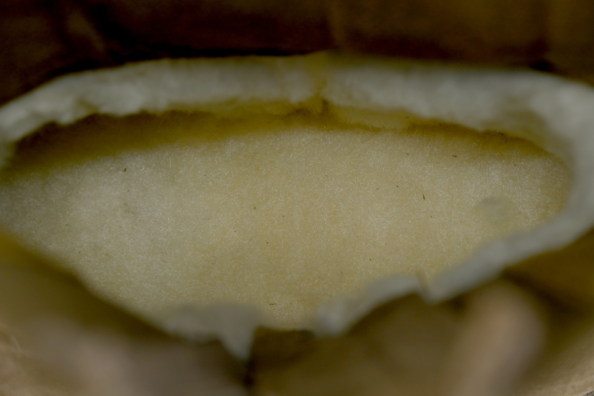 UGG Women's Classic Twin Seam New Heights Boots Coffee 1158313