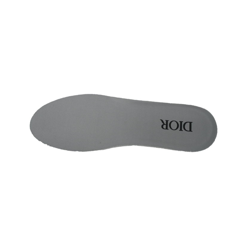 Dior B30 Countdown Sneaker Gray White