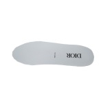 Dior B22 Gray Blue