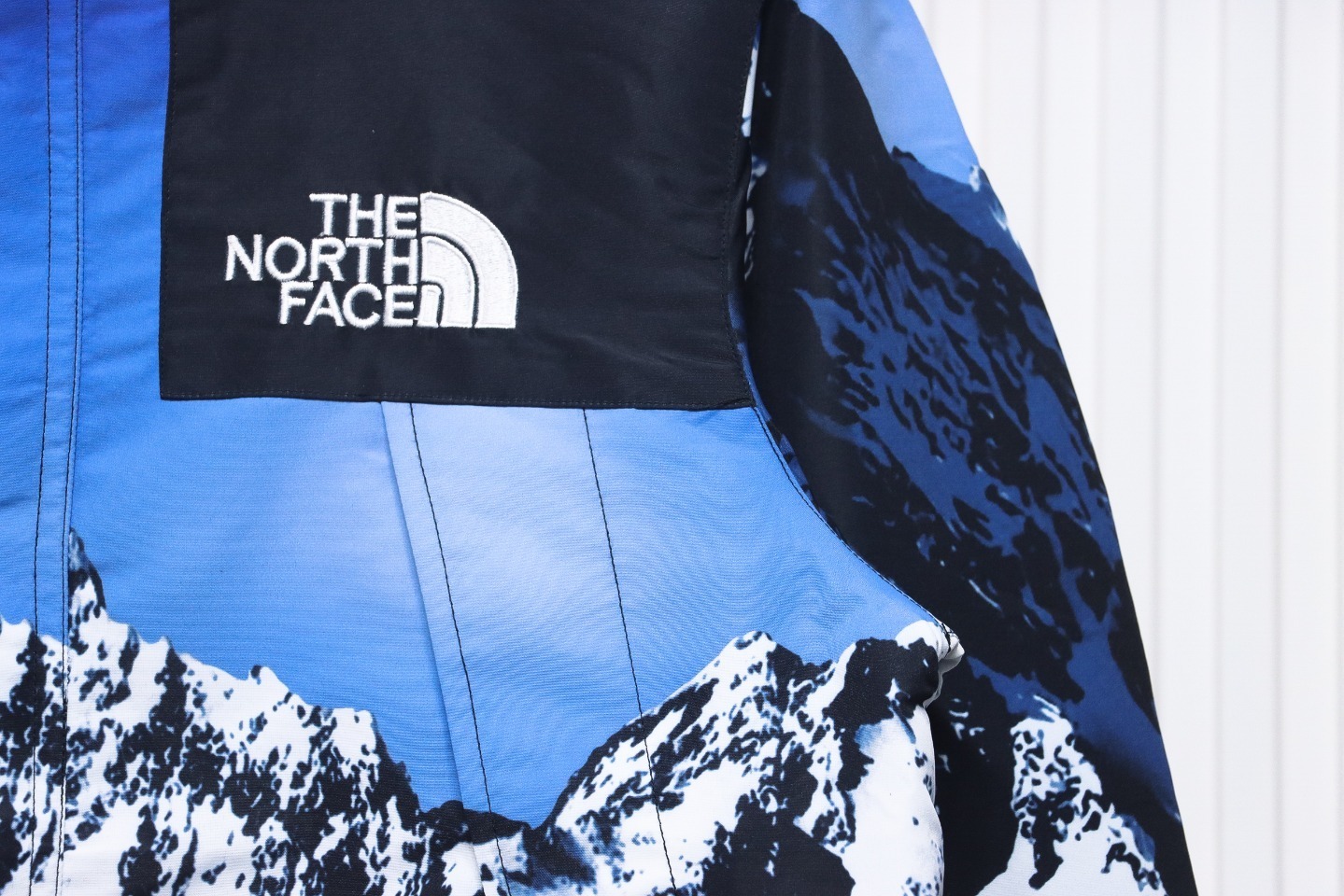 Supreme x The North Face Mountain Parka Blue/White Jacket