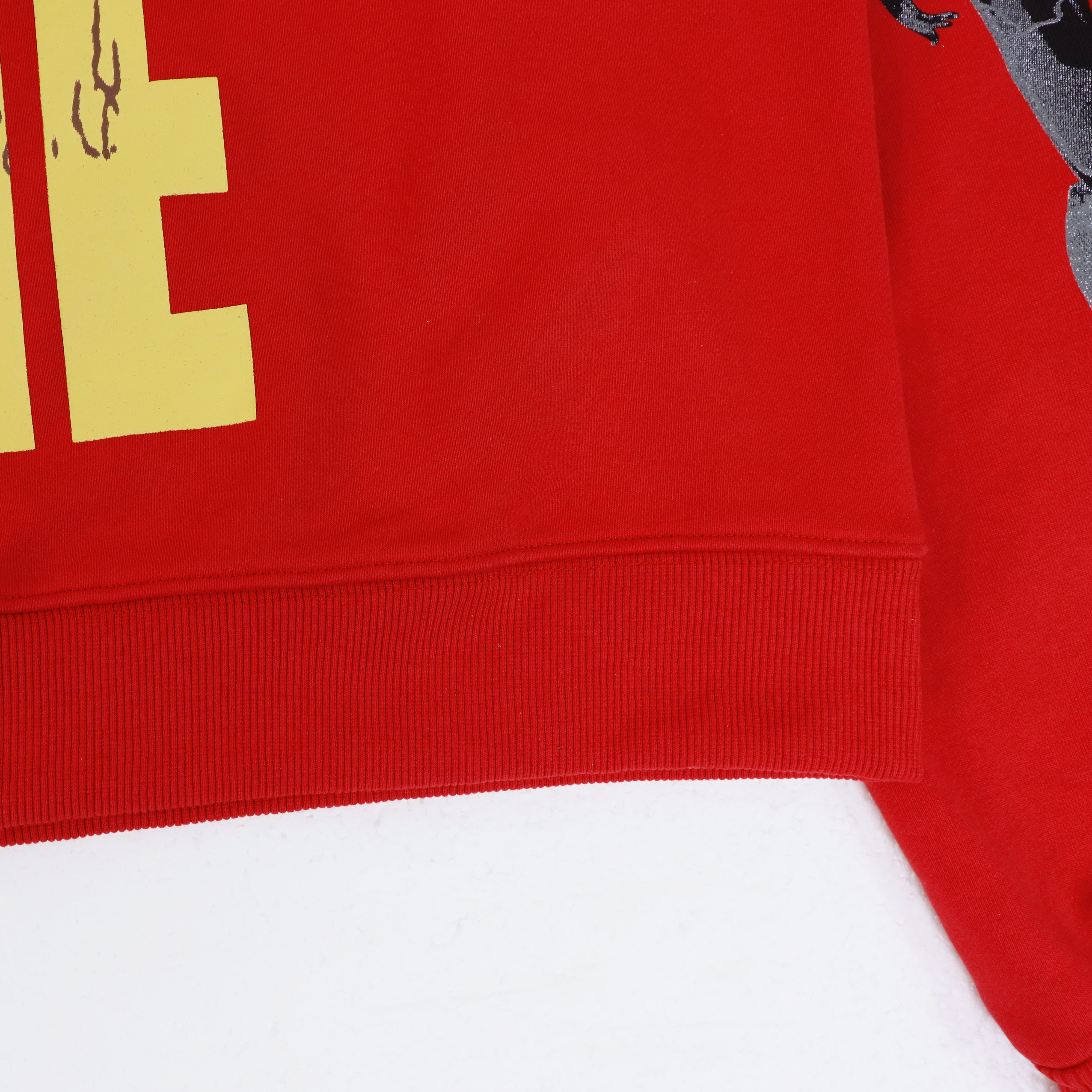 Godspeed Robot Print Hoodie #5536 Washed Red