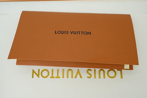 Louis Vuitton LV Skate Sneaker Coffee White