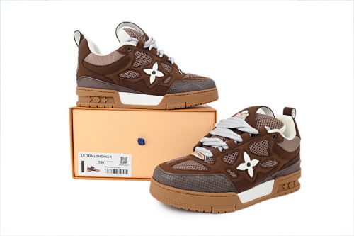 Louis Vuitton LV Skate Sneaker Coffee White