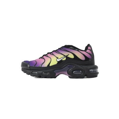 Nike Air Max Plus OG Aurora Borealis DZ3670-006 01