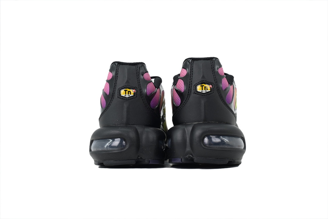 Nike Air Max Plus OG Aurora Borealis DZ3670-006