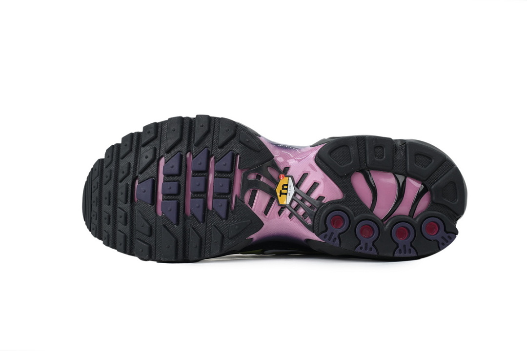 Nike Air Max Plus OG Aurora Borealis DZ3670-006