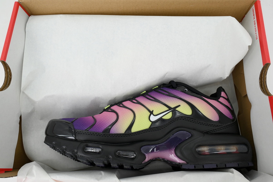 Nike Air Max Plus OG Aurora Borealis DZ3670-006