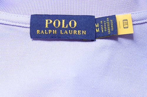 Ralph Lauren Pony Logo Embroidered Short-Sleeve Button-Down Shirt Purple