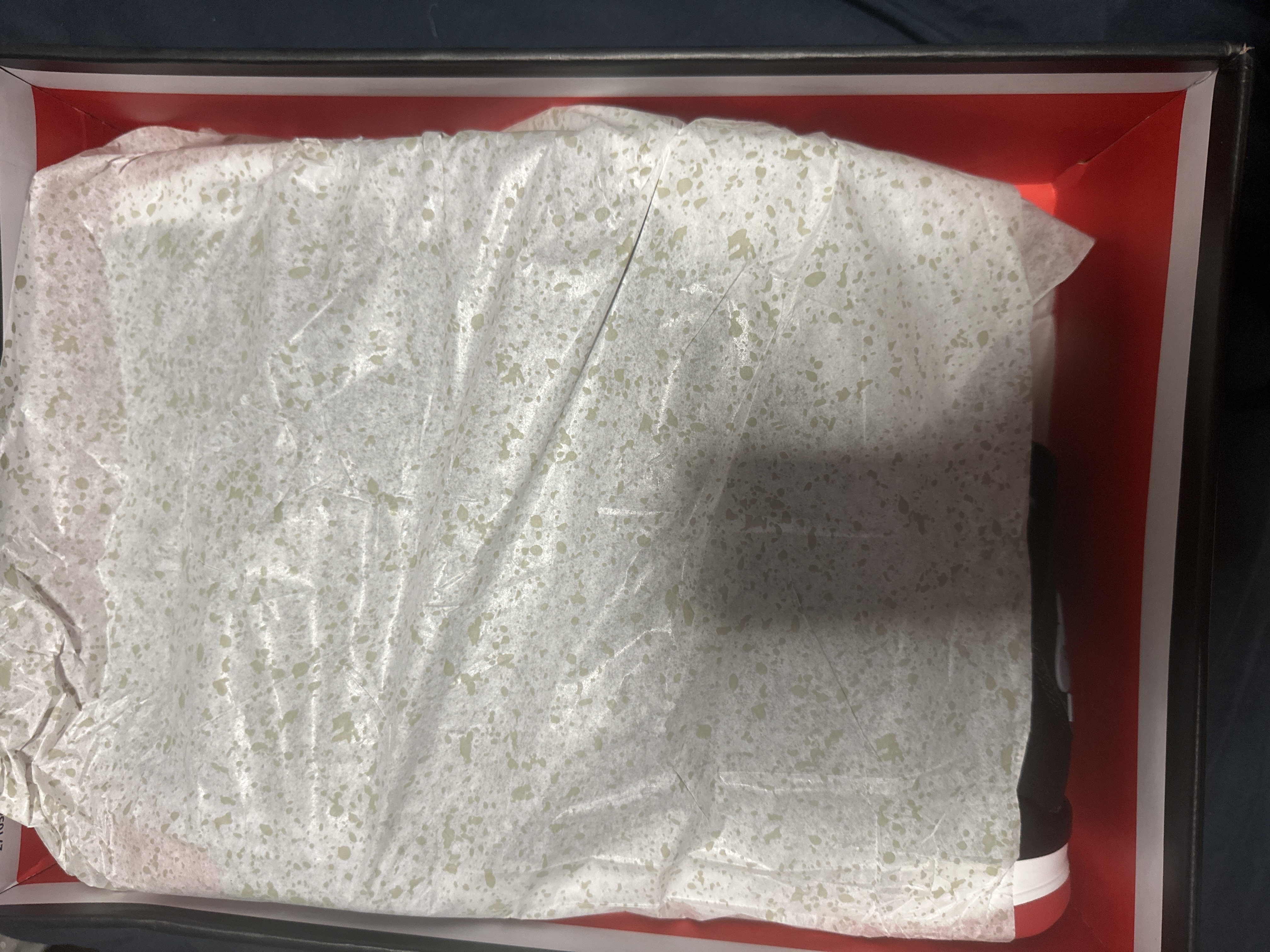 Air Jordan 4 Retro Bred Reimagined FV5029-006 review Doe 02