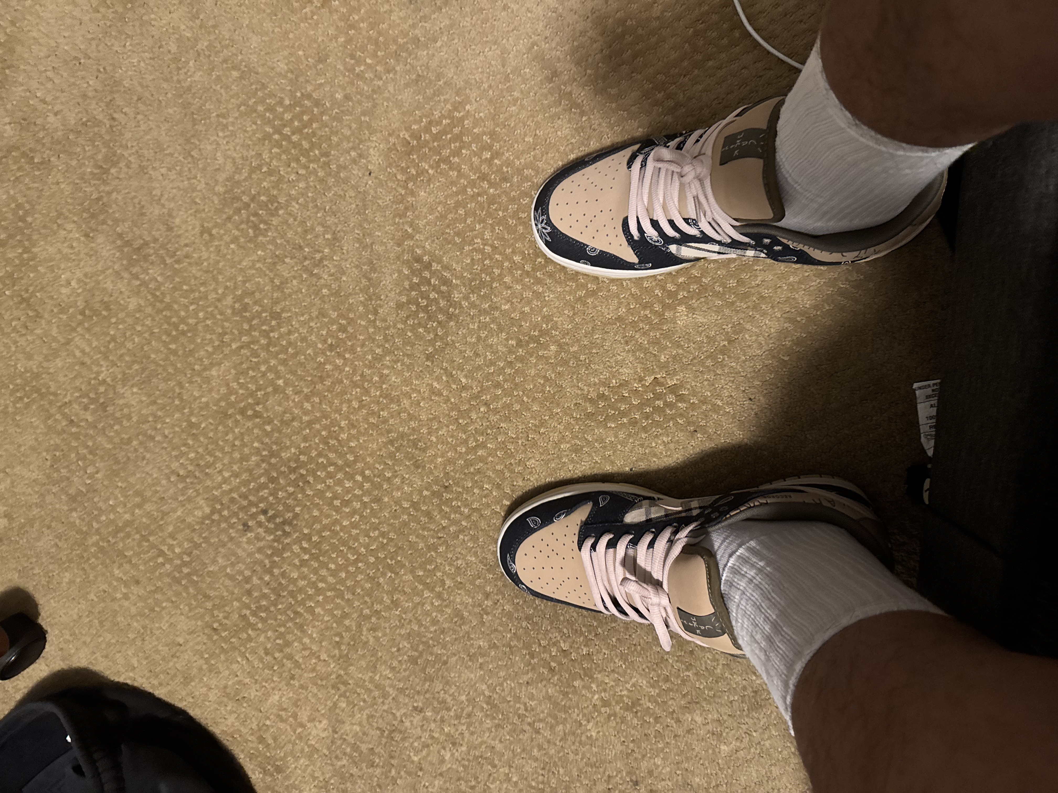 Nike Dunk SB Low Travis Scott CT5053-001 review Israel 01