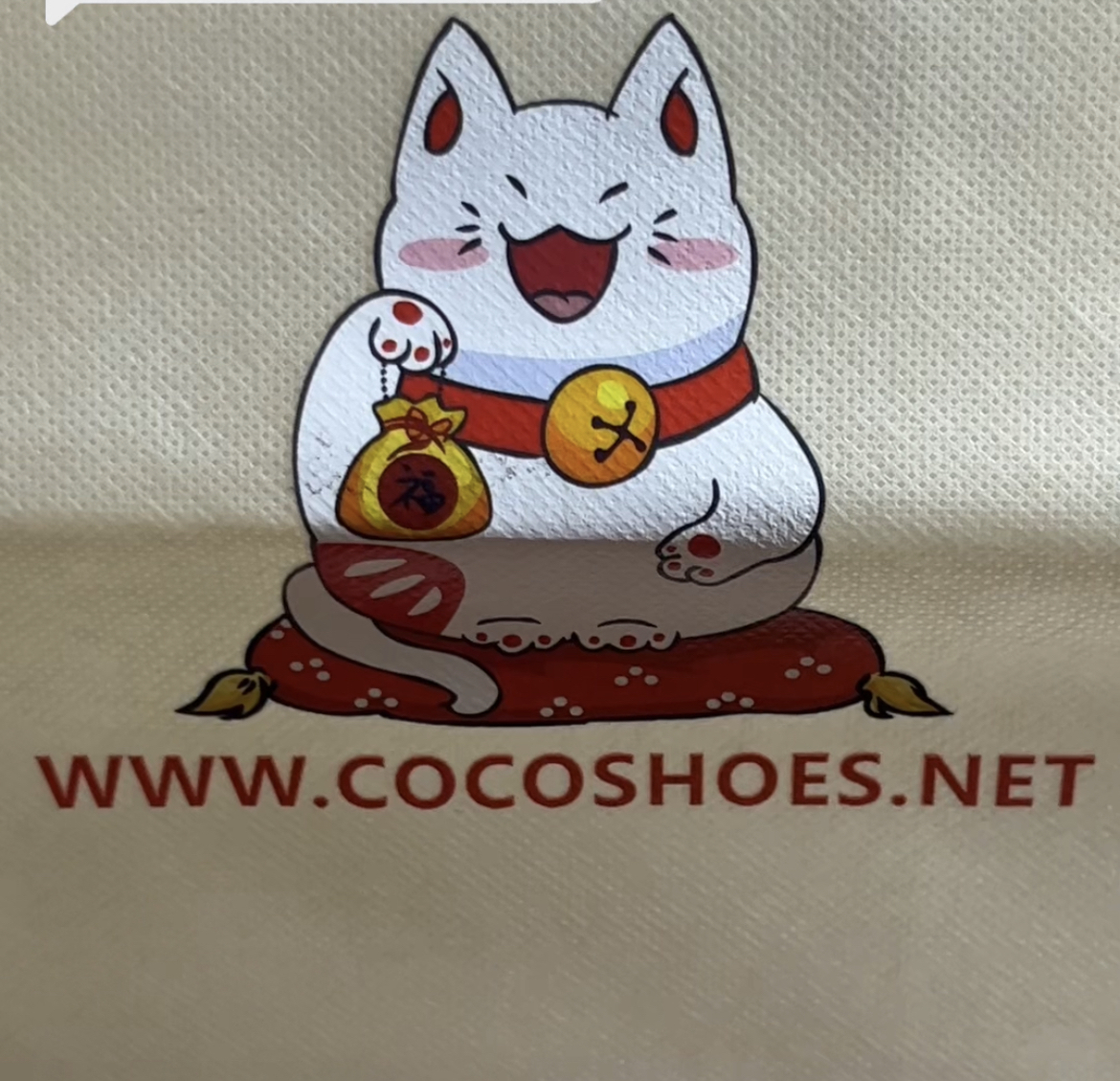 Air Jordan 4 Retro Red Thunder CT8527-016 review Blue Dot 07