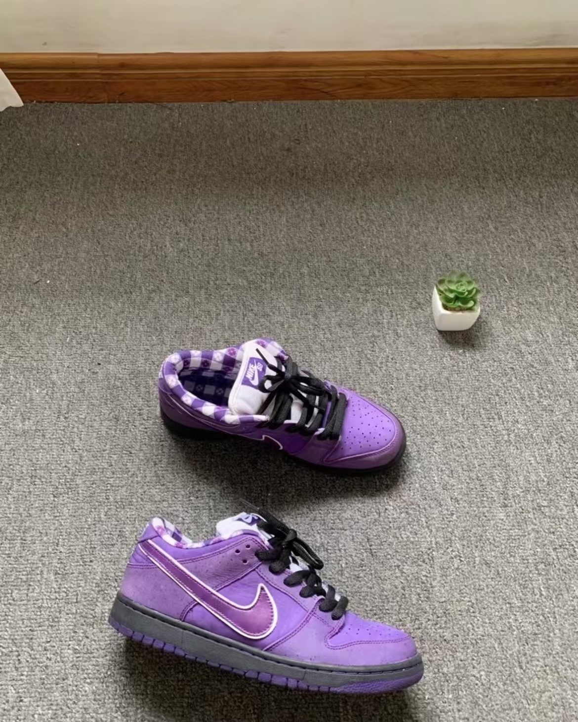 Nike SB Dunk Low Concepts Purple Lobster BV1310-555 review 0