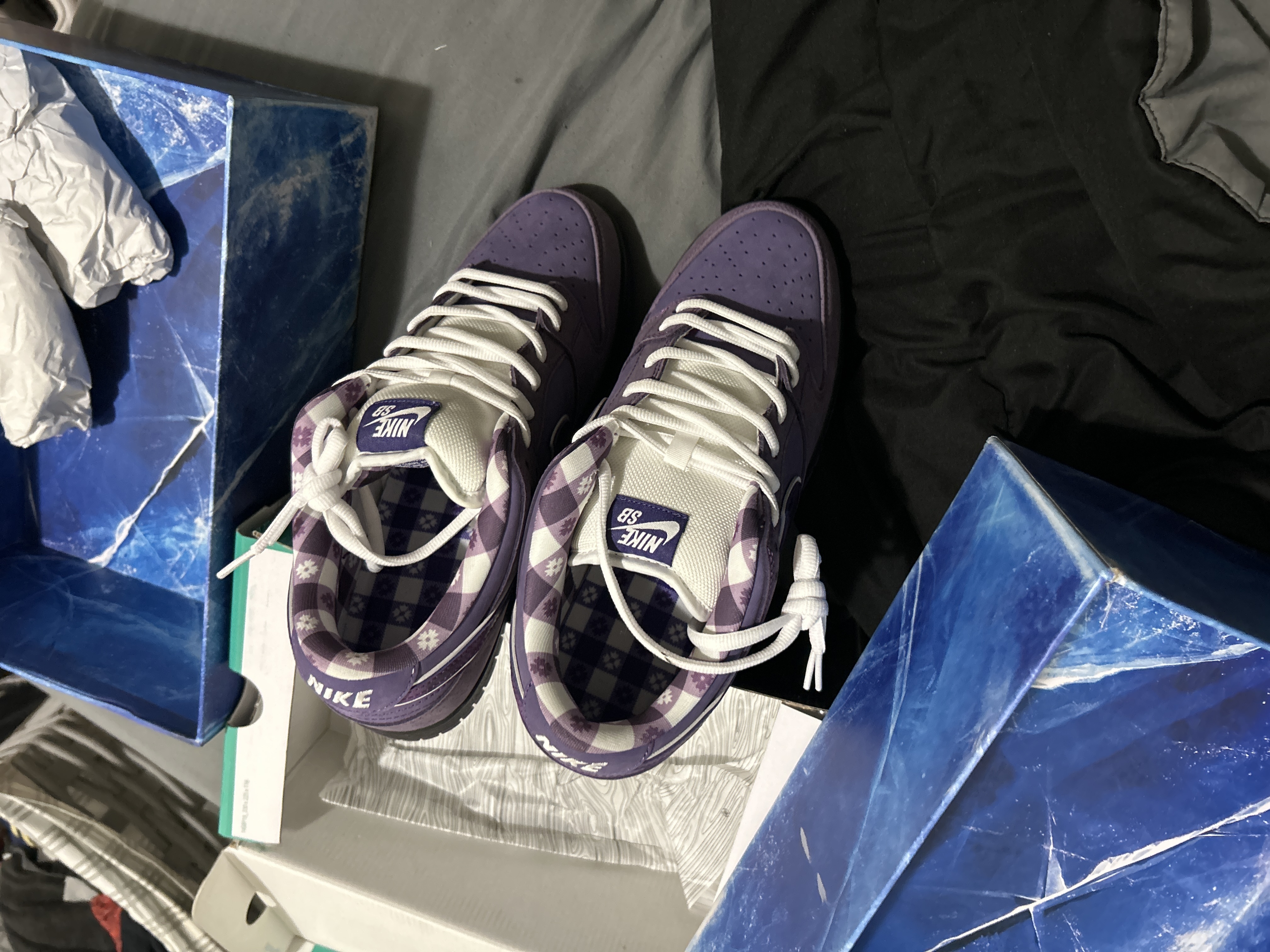 Nike SB Dunk Low Concepts Purple Lobster (Special Box) BV1310-555 review 0
