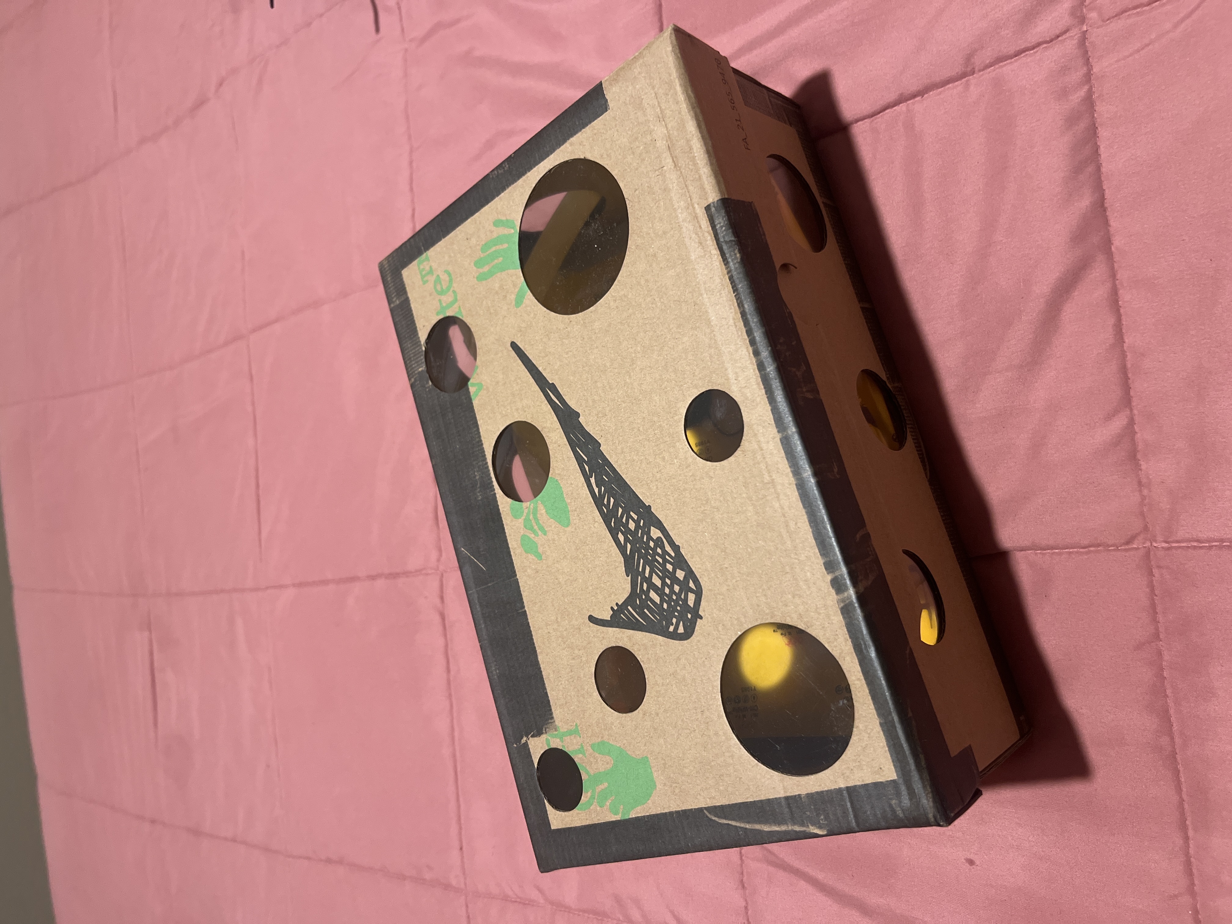 Nike Dunk Low Off-White Lot 50 DM1602-001 review Tiger 01