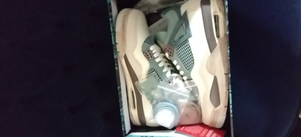 Air Jordan 4 Snorlax Custom review Jay
