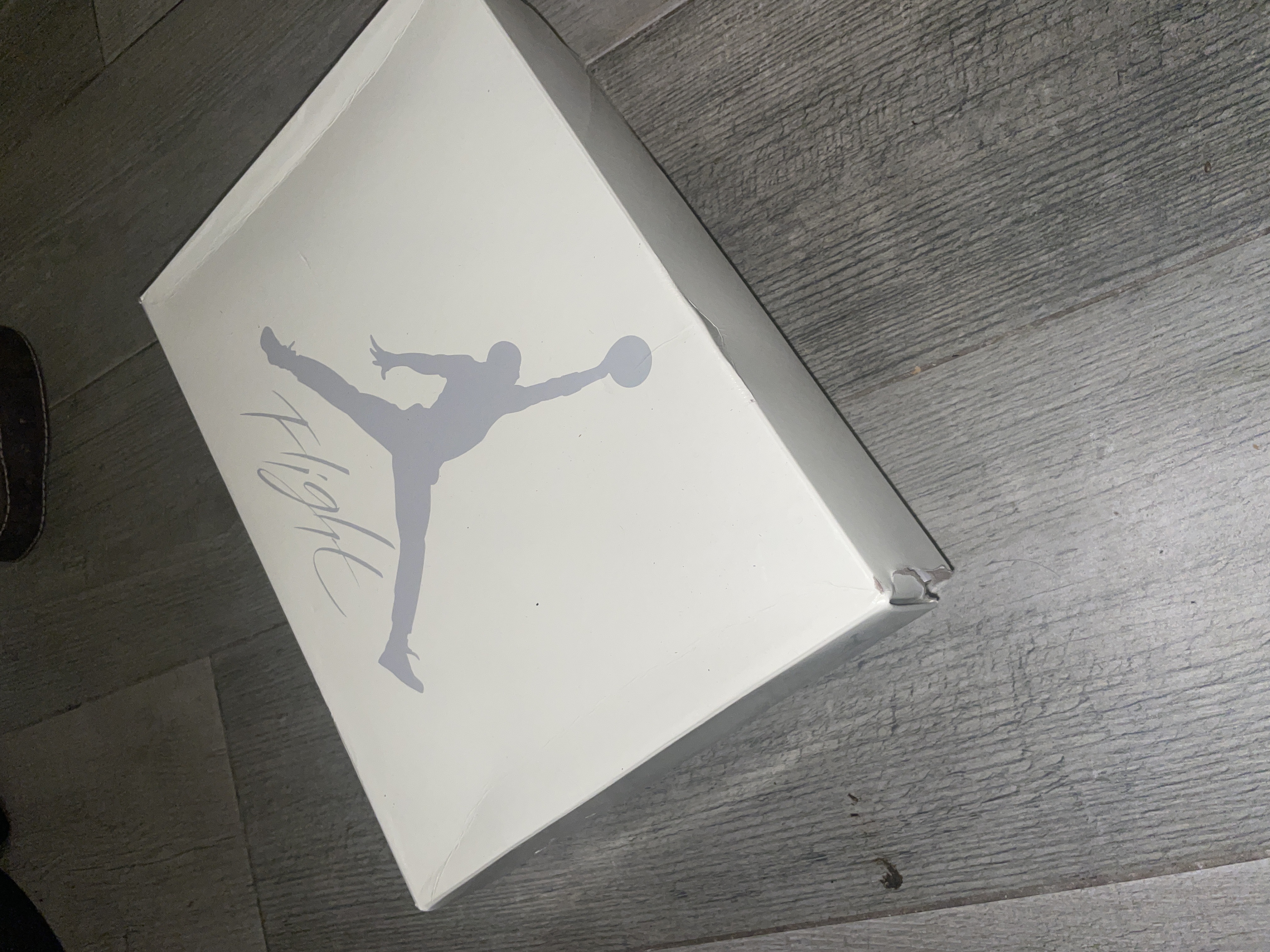 Nike SB x Air Jordan 4 White Red DR5415-160 review Jansse pierre 00