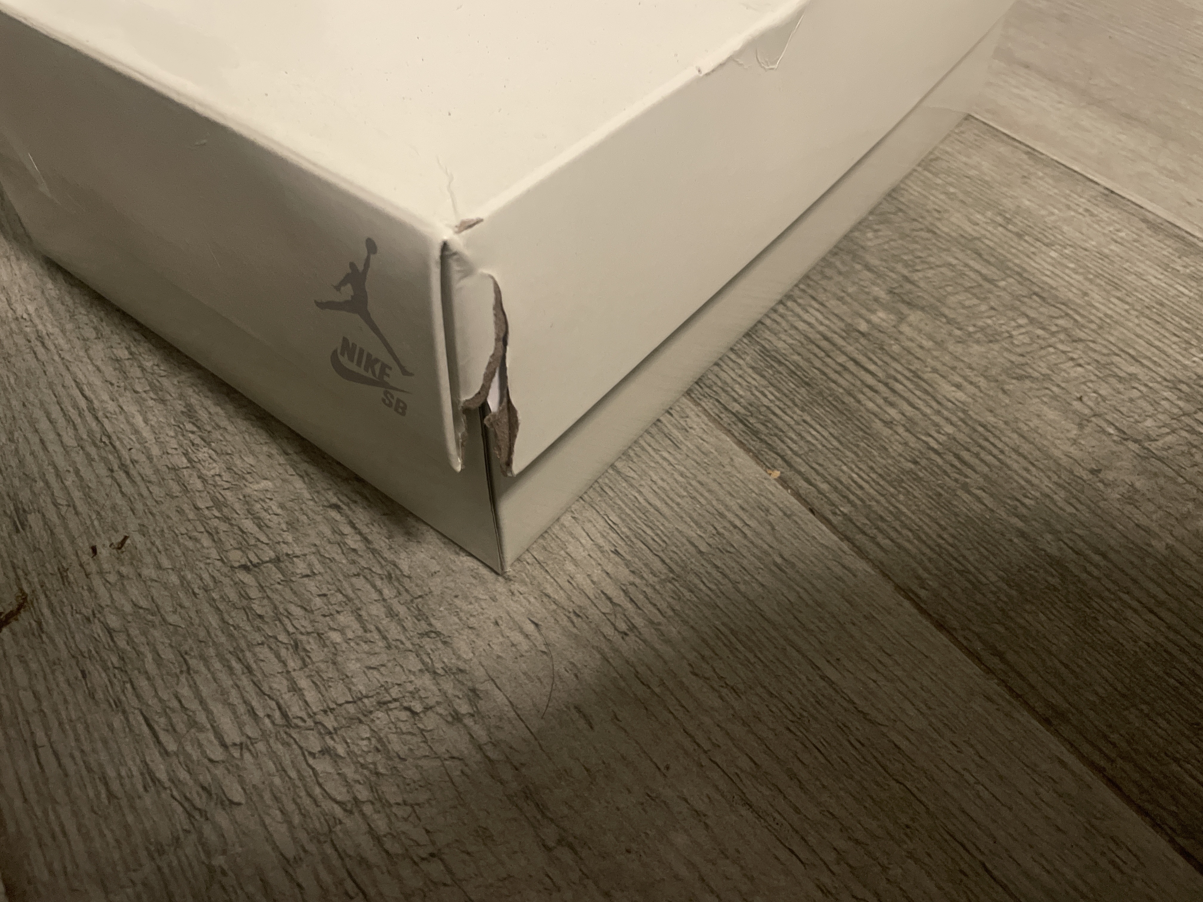 Nike SB x Air Jordan 4 White Red DR5415-160 review Jansse pierre 01