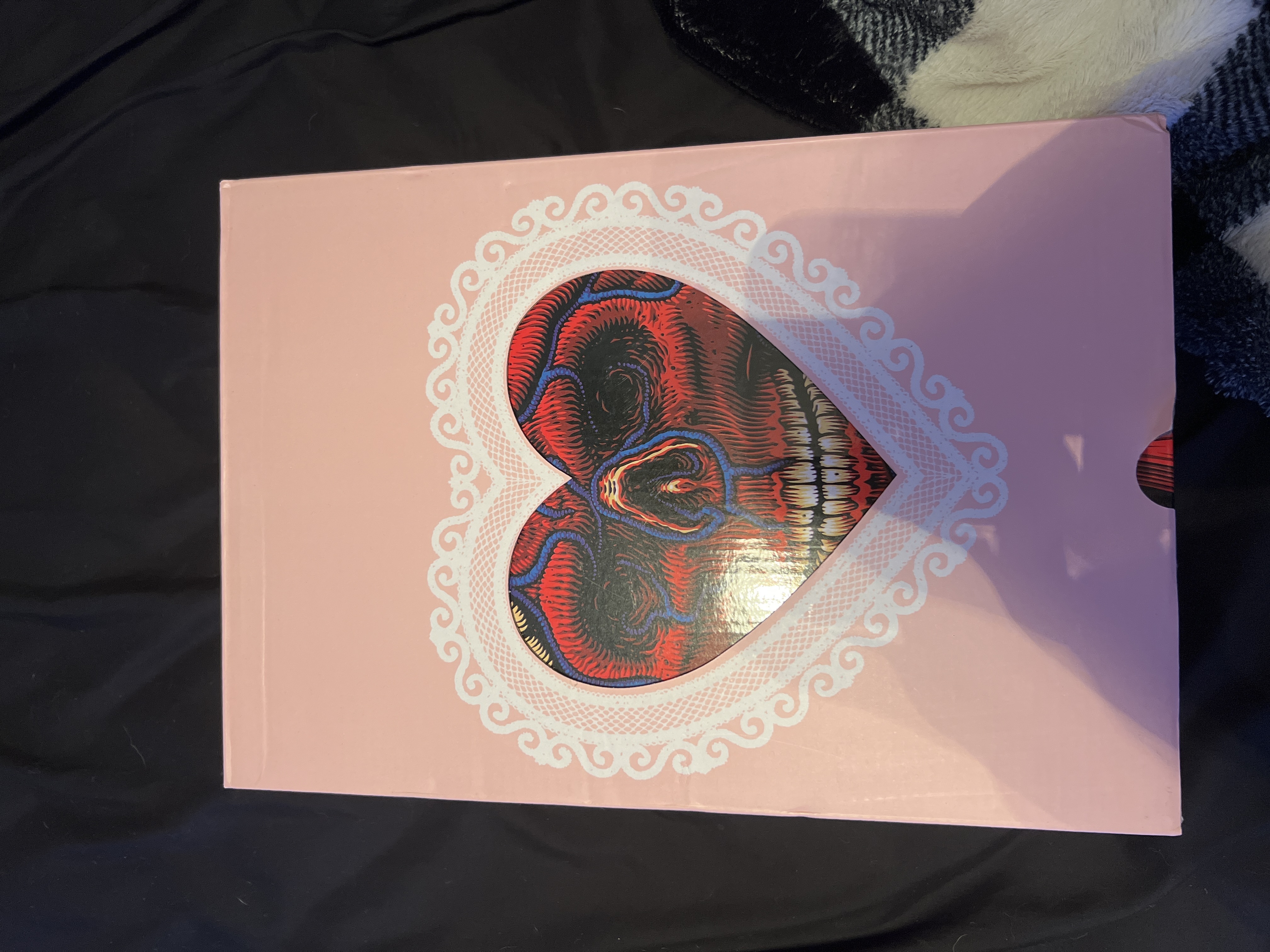 Nike Dunk SB Low StrangeLove Skateboards (Special Box) CT2552-800 review Andrew 04