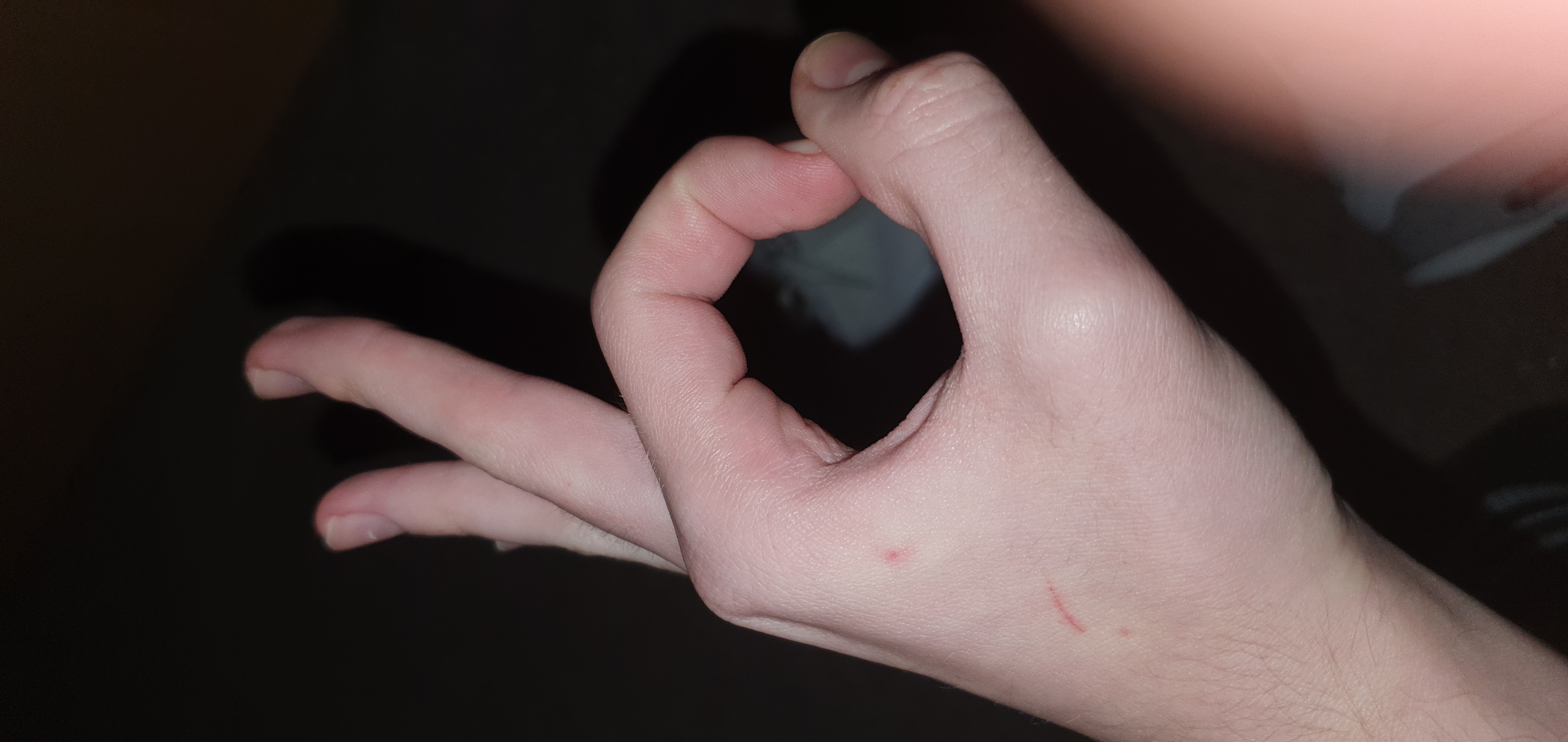 Air Jordan 4 Retro White Oreo CT8527-100 review Adolf 03