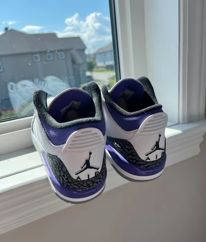 Air Jordan 3 Retro Dark Iris CT8532-105 review Scott 00