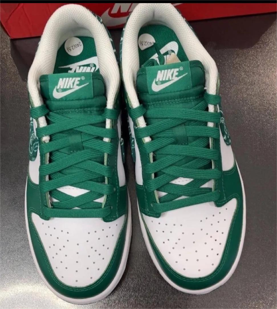 Nike Dunk Low Michigan State DD1391-101 review Santiago