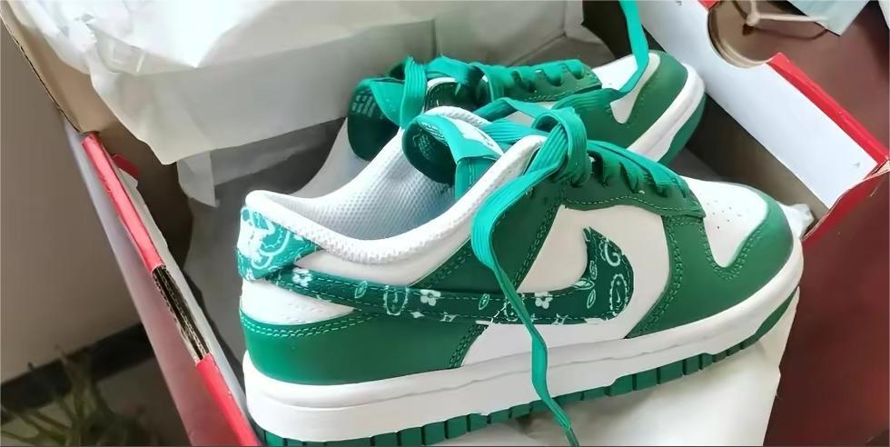 Nike Dunk Low Essential Paisley Pack Green DH4401-102 review Lyanne