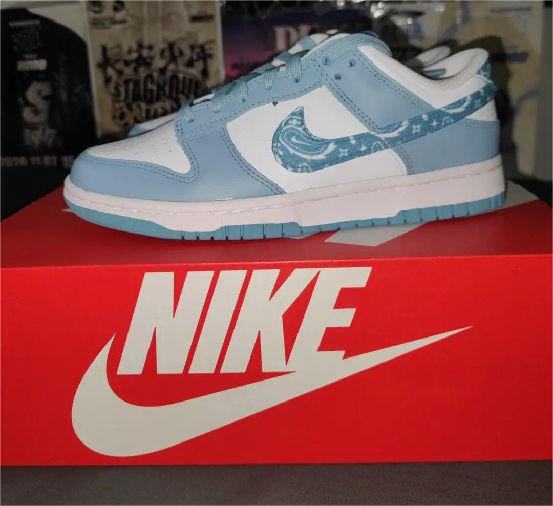 Nike Dunk Low Essential Paisley Pack Worn Blue DH4401-101 review Juan