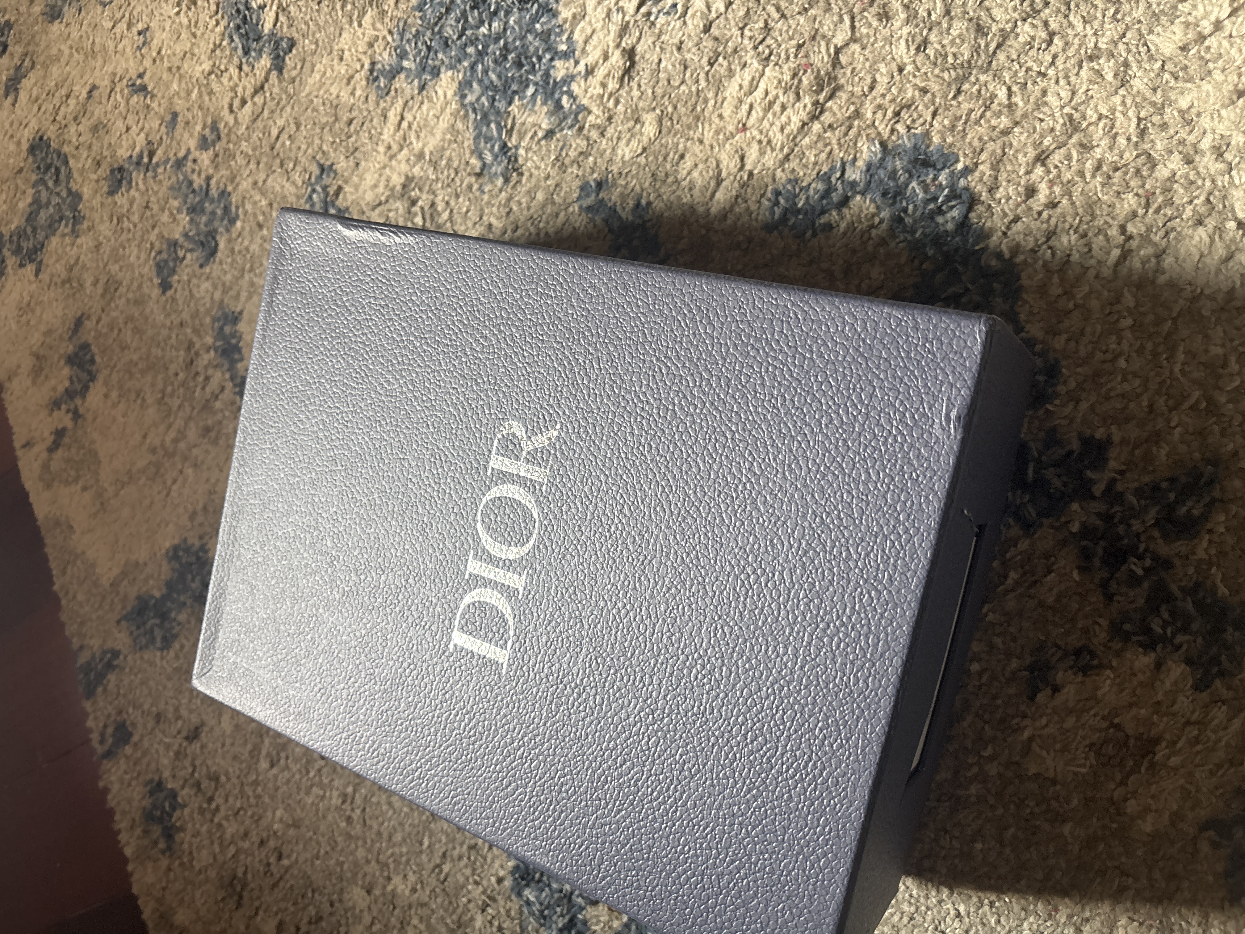 Dior B22 Black Silver 3SN231ZNG_H969 review Radar 00