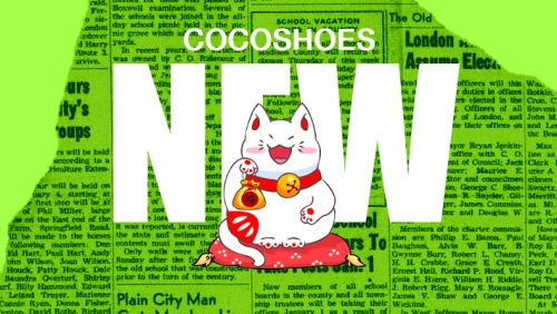 Coco Shoes Domain Update: Why Our Website URL Changes from Time to Time？